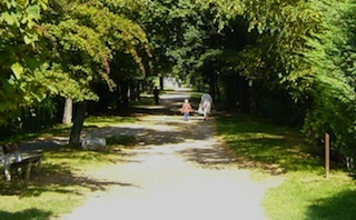 Voie Verte Caluire